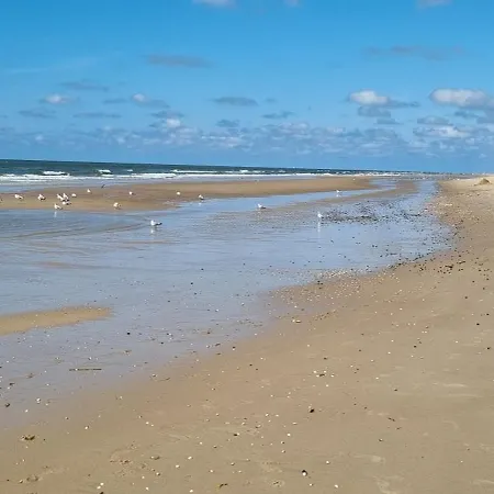 Puur Homestay Schoorl