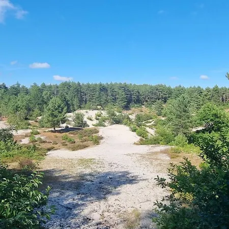 ホームステイ Puur