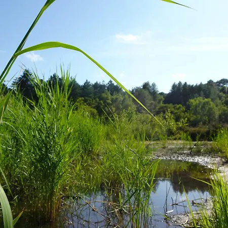 Puur Homestay Schoorl