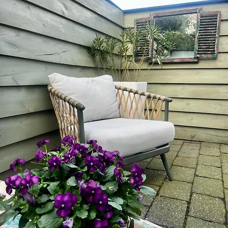 Puur * スコールル