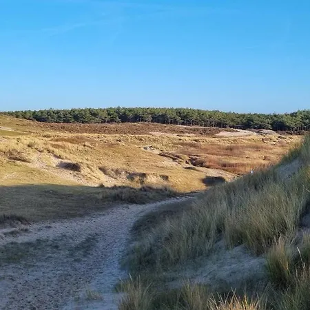 Puur * スコールル