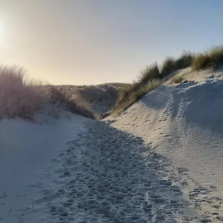 Puur