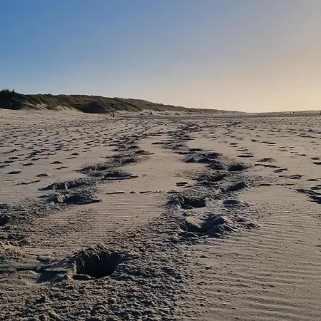Puur