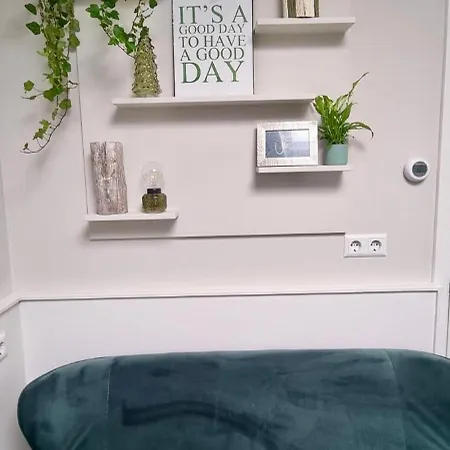 Puur Проживание в семье *