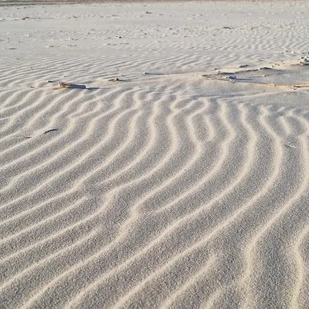 Проживание в семье Puur Схорл