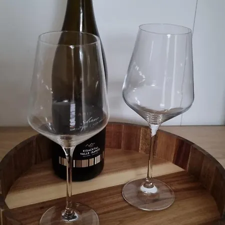 Проживание в семье Puur *