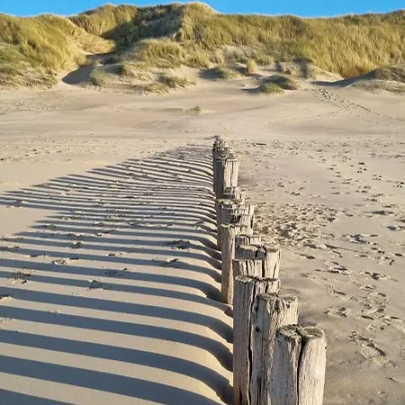 Проживание в семье Puur