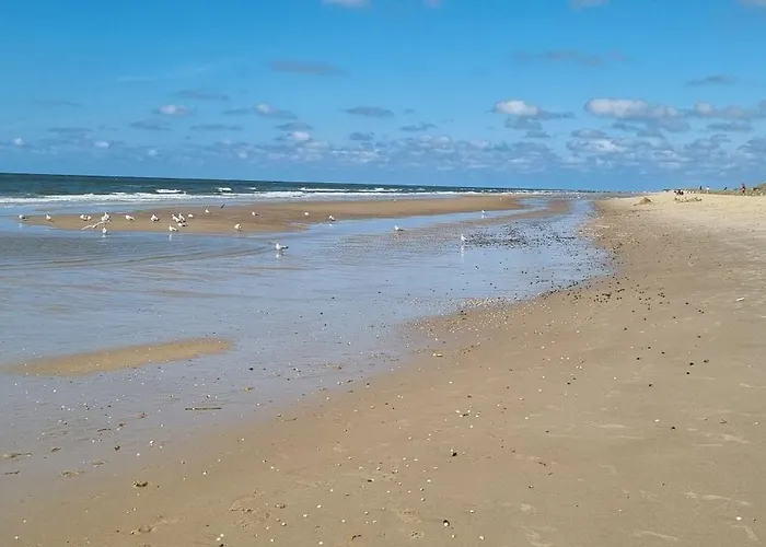 Puur 홈스테이 슐