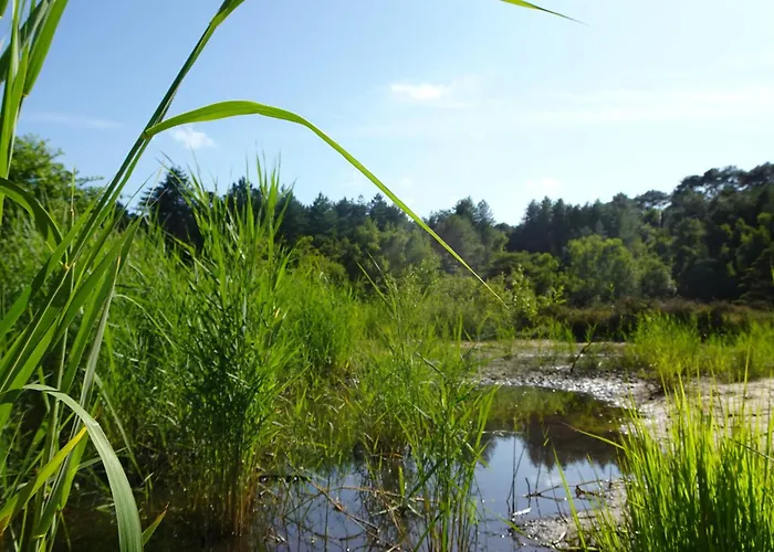 Puur 홈스테이 슐