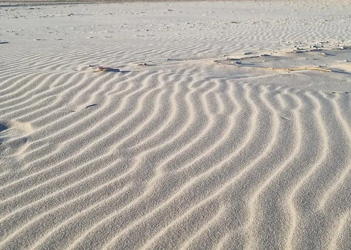 홈스테이 Puur 슐